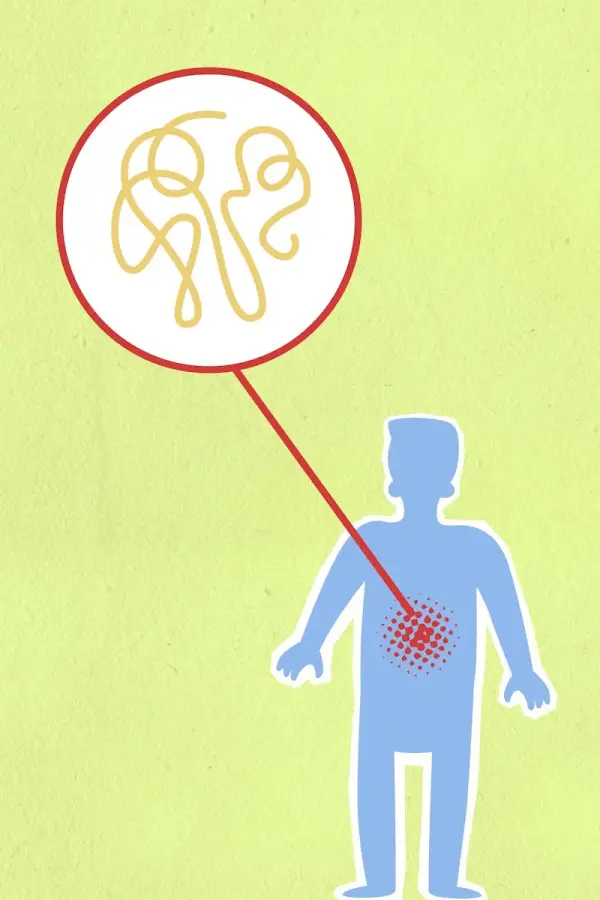 Unlocking the Secrets of the Gut Microbiome for Better Health