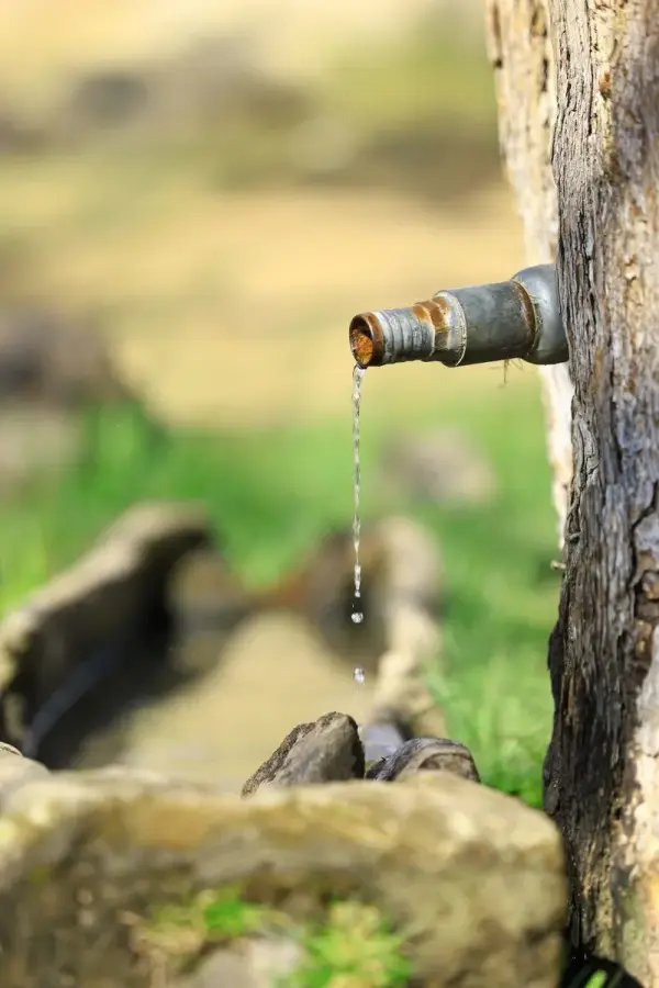 What Is Causing Bladder Leaks, and Which Ones Need a Doctor's Visit?