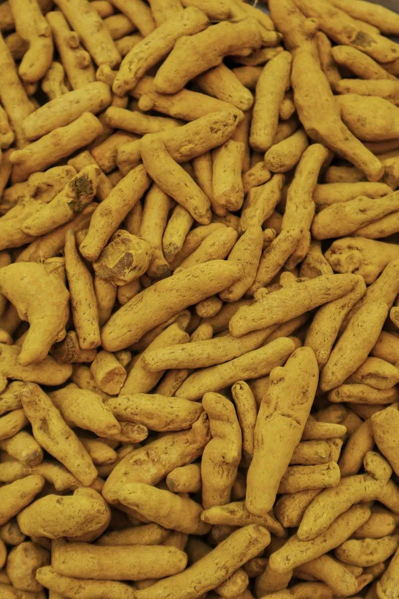 Harnessing the Healing Power of Turmeric: Ancient Remedy for Modern Health