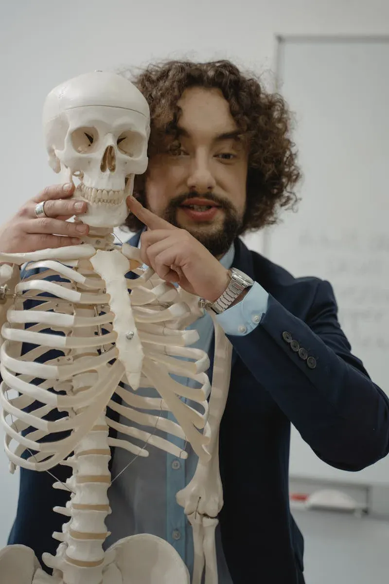 The Surprising Regeneration Timeline of Your Skeleton