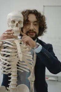 The Surprising Regeneration Timeline of Your Skeleton