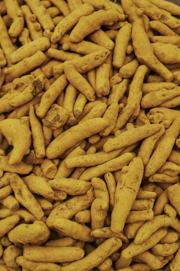 Turmeric vs Ginger: Which Natural Remedy Packs More Punch?