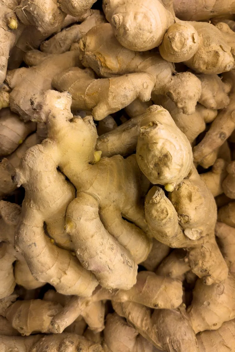 Harness the Healing Power of Ginger: Natural Remedies Unveiled