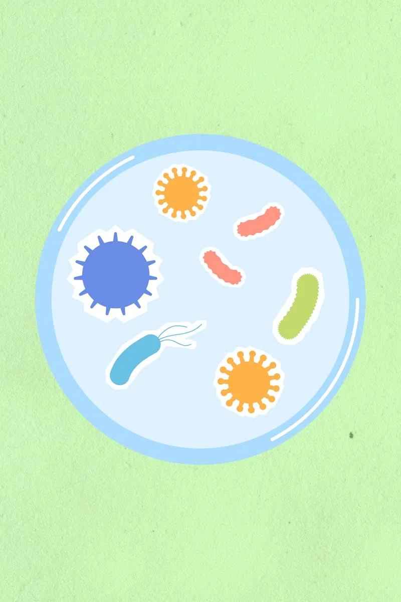 Unlocking the Secrets of Your Gut Microbiome